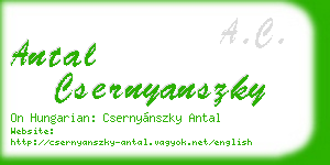 antal csernyanszky business card