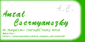 antal csernyanszky business card